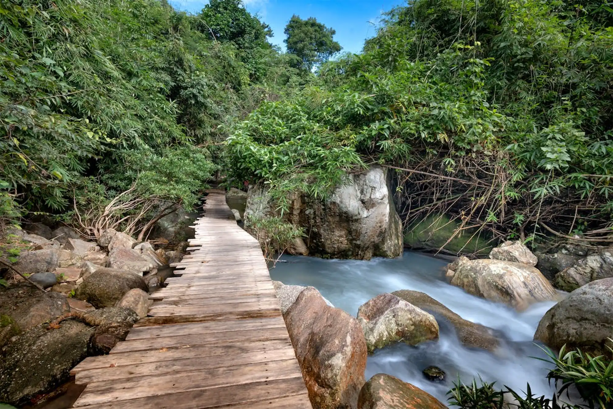 river-path.webp